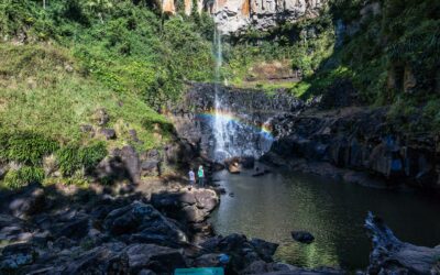 Gold Coast Tour: 13 Incredible Hinterland Spots Near You