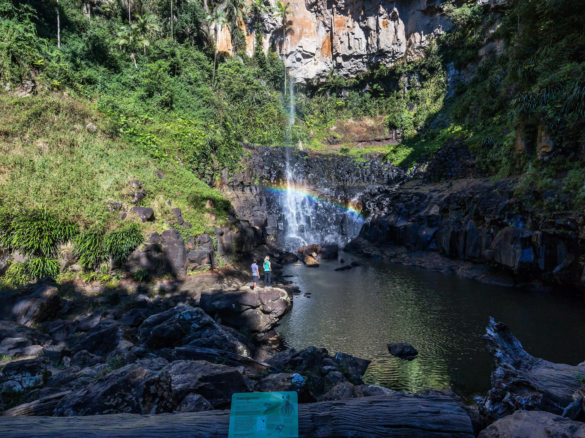 A breathtaking view of Purling Brook Falls in the Gold Coast hinterland, surrounded by lush greenery and rugged cliffs, with a rainbow appearing in the mist—an unmissable stop on any Gold Coast tour.